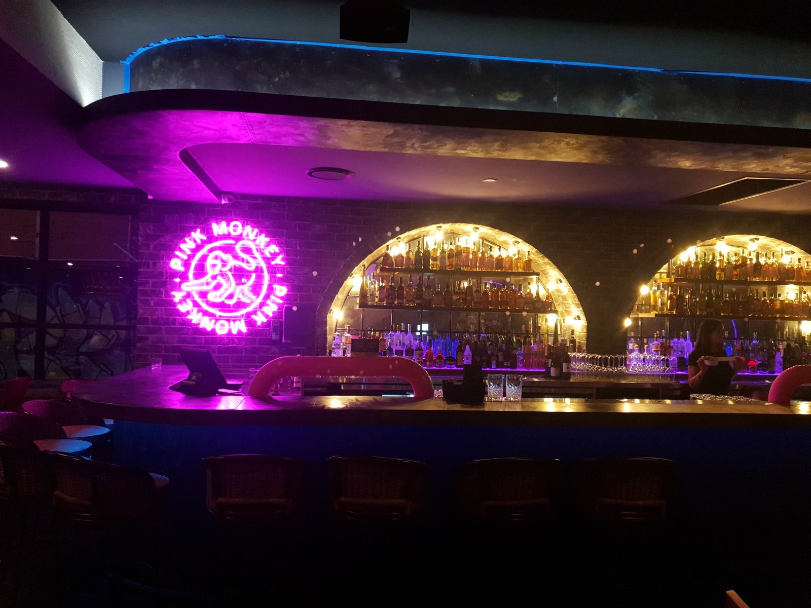 Pink Monkey Bar & Grill — QEI project photo 1